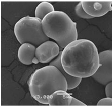 High thermal conductivity near spherical alumina